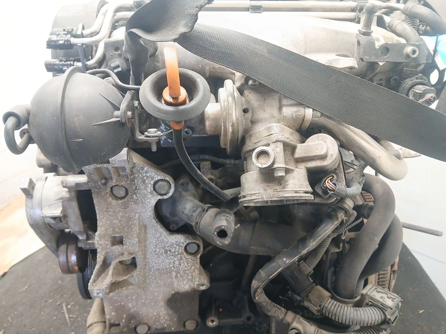 Despiece Motor para Seat Toledo Iii (5P2)