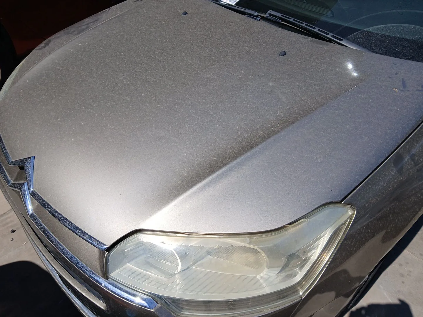 Capot para Citroën C5 Iii (Rd_)