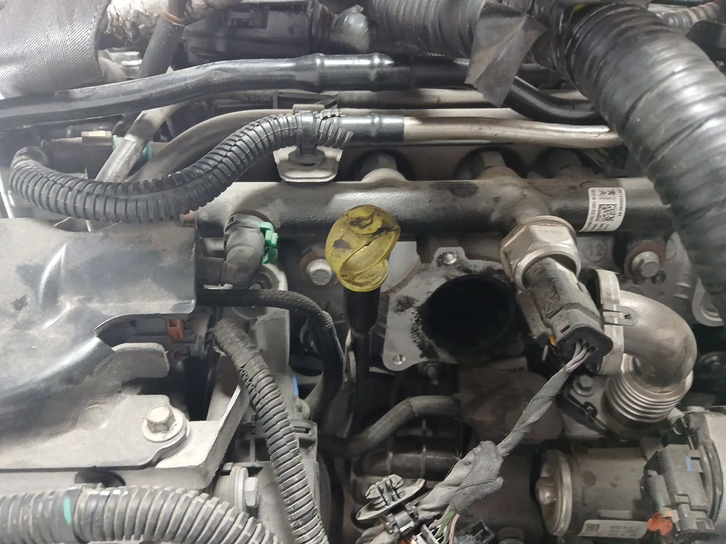 Despiece Motor para Ford S-Max (Cj, Wa6)
