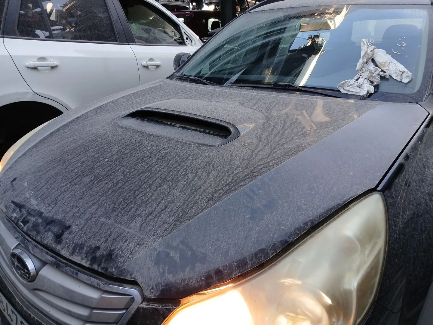 Capot para Subaru Legacy V (Bm)