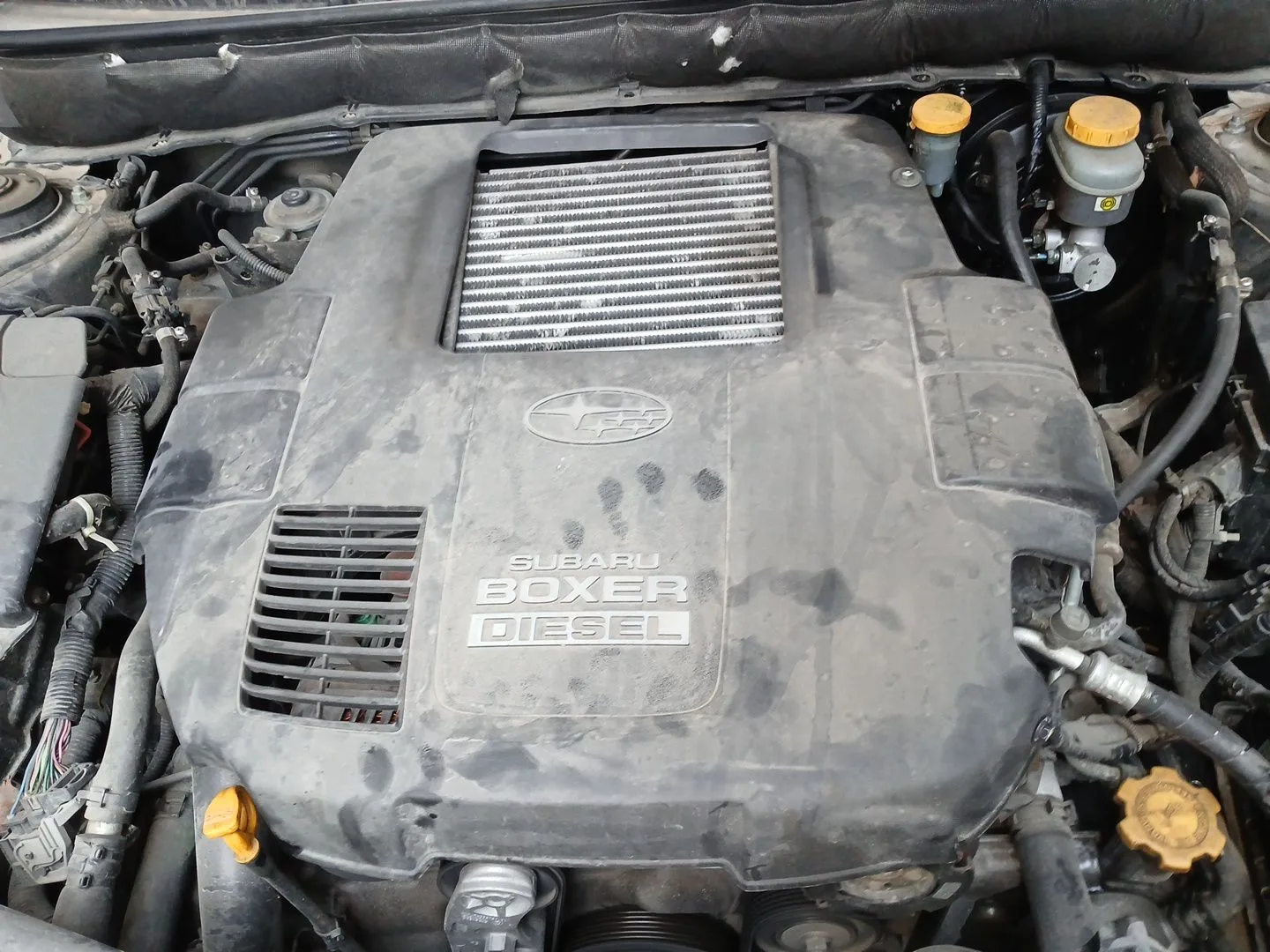 Despiece Motor para Subaru Legacy V (Bm)