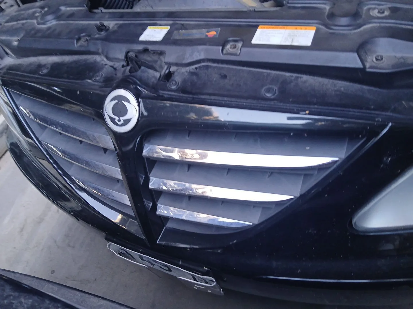 Paragolpes Delantero para Ssangyong Rodius I