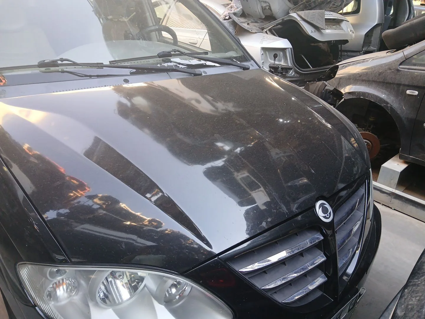 Capot para Ssangyong Rodius I