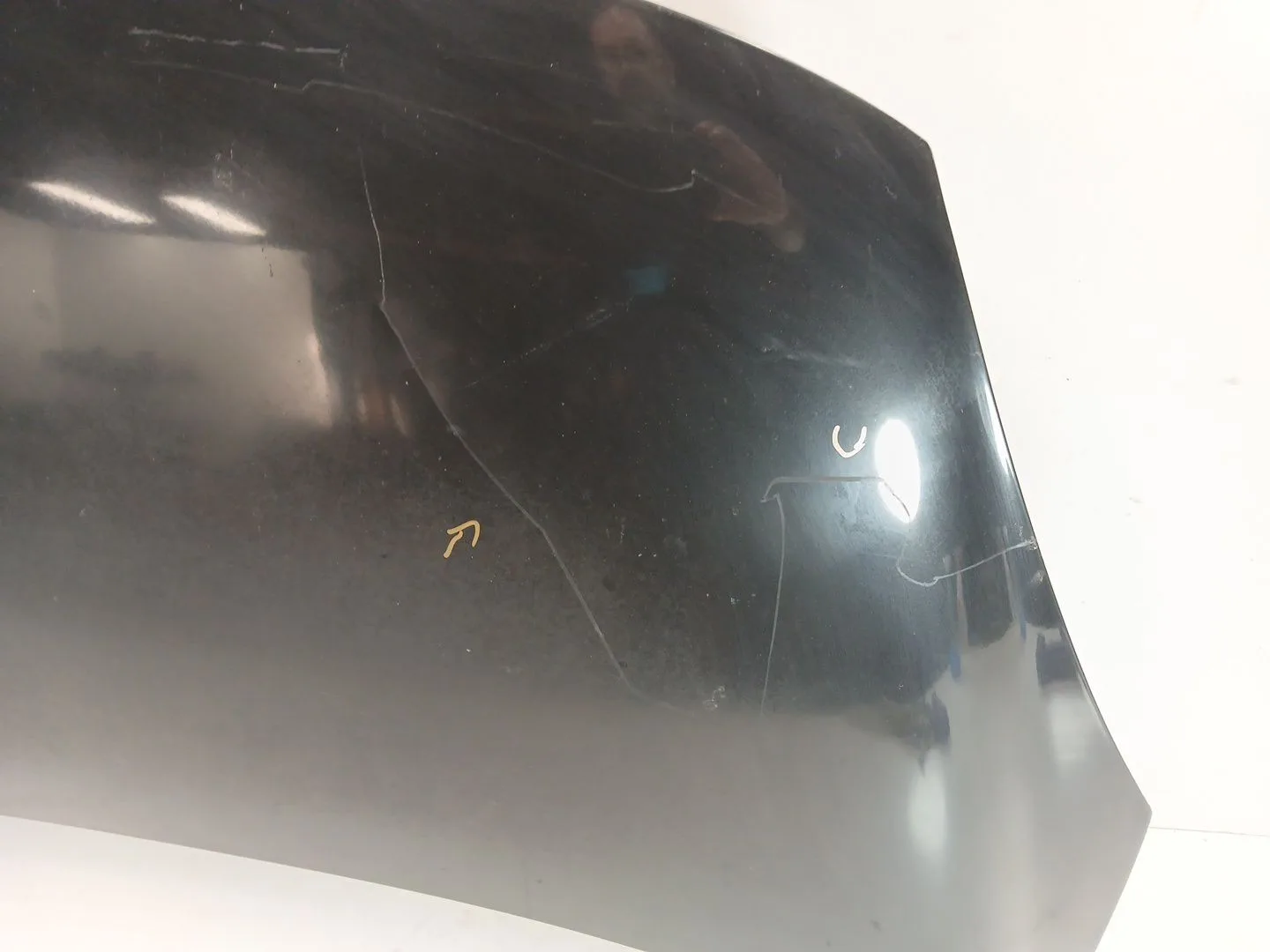 Capot para Renault Scenic Iii (Jz0/1_)