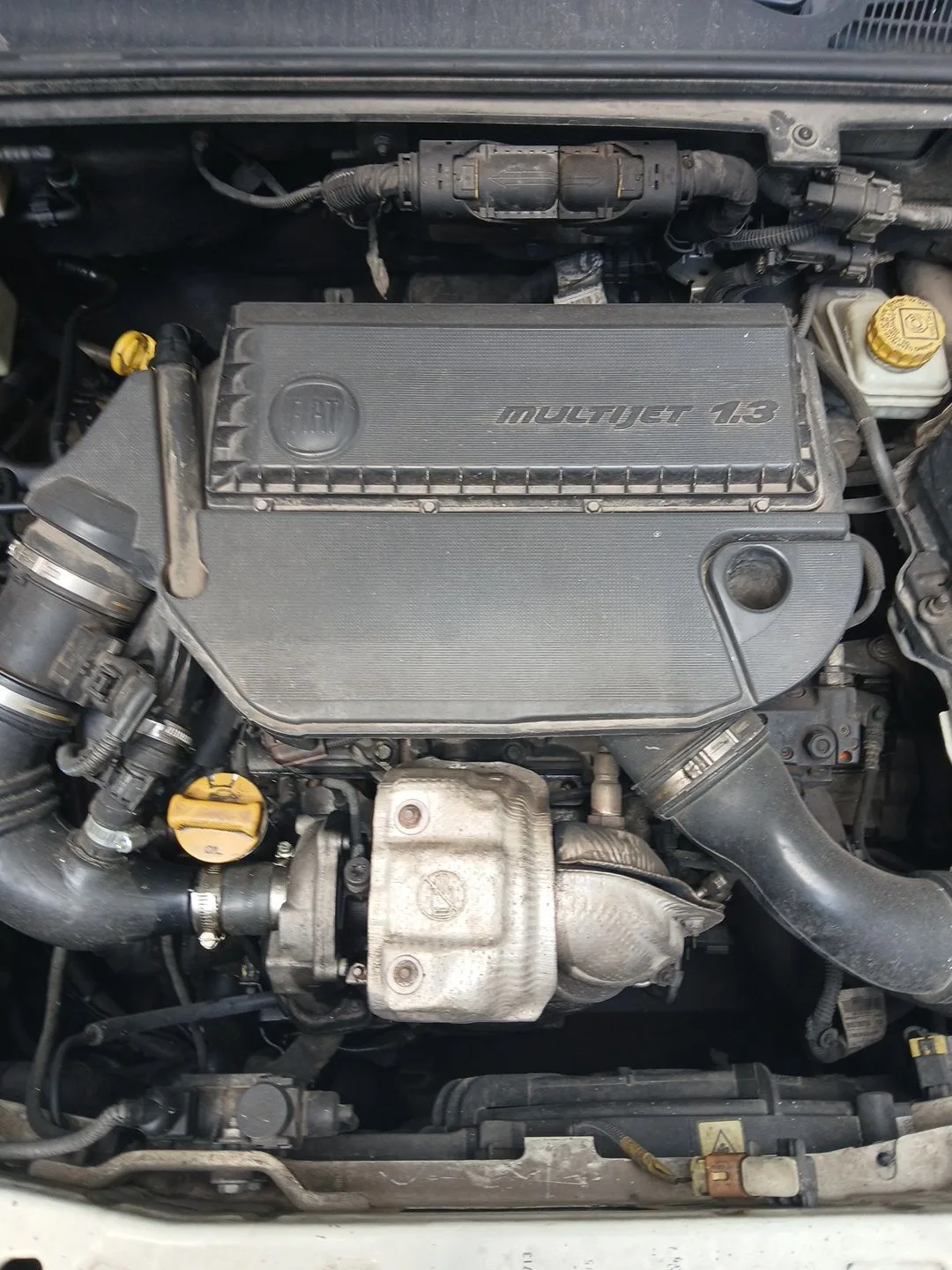 Despiece Motor para Fiat Doblo Cargo (263_)