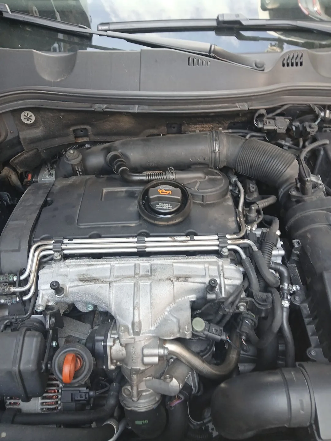 Despiece Motor para Volkswagen Passat B6 (3C2)