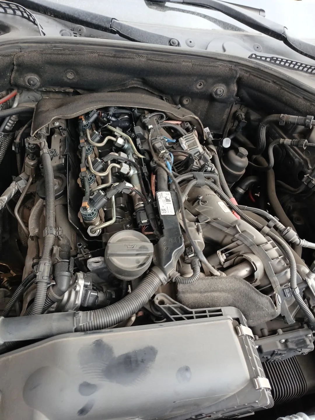 Motor Completo para Bmw 5 (F10)