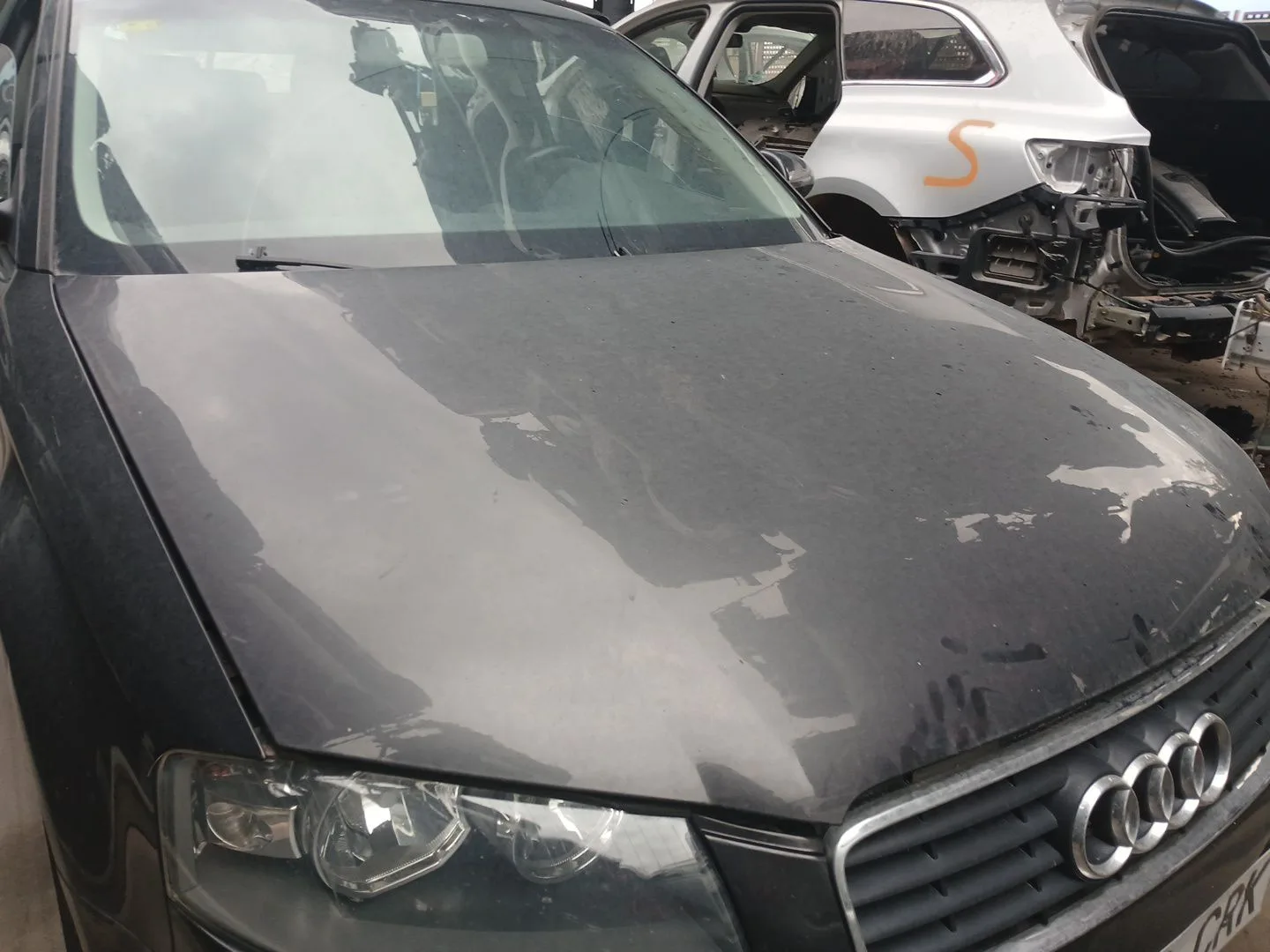 Capot para Audi A3 (8P1)