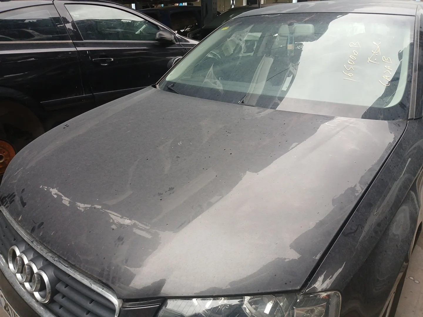 Capot para Audi A3 (8P1)