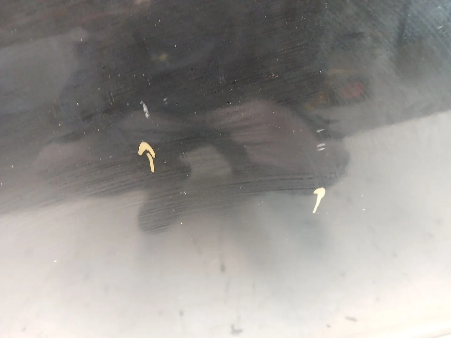 Puerta Delantera Derecha para Nissan Qashqai I (J10, Nj10)
