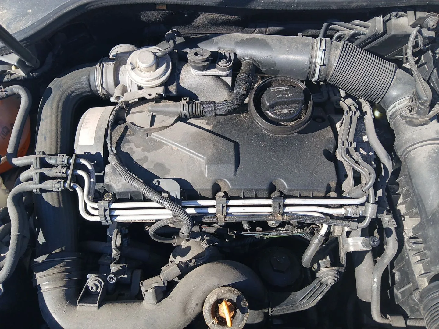 Motor Completo para Volkswagen Golf V (1K1)