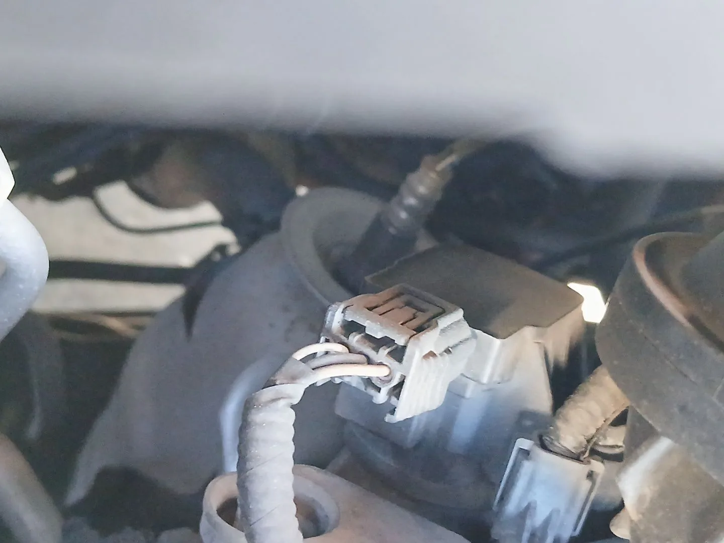 Catalizador para Honda Insight (Ze_)
