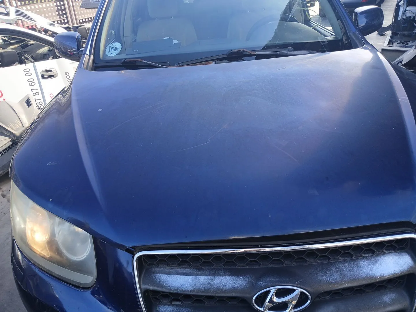 Capot para Hyundai Santa Fe Ii (Cm)