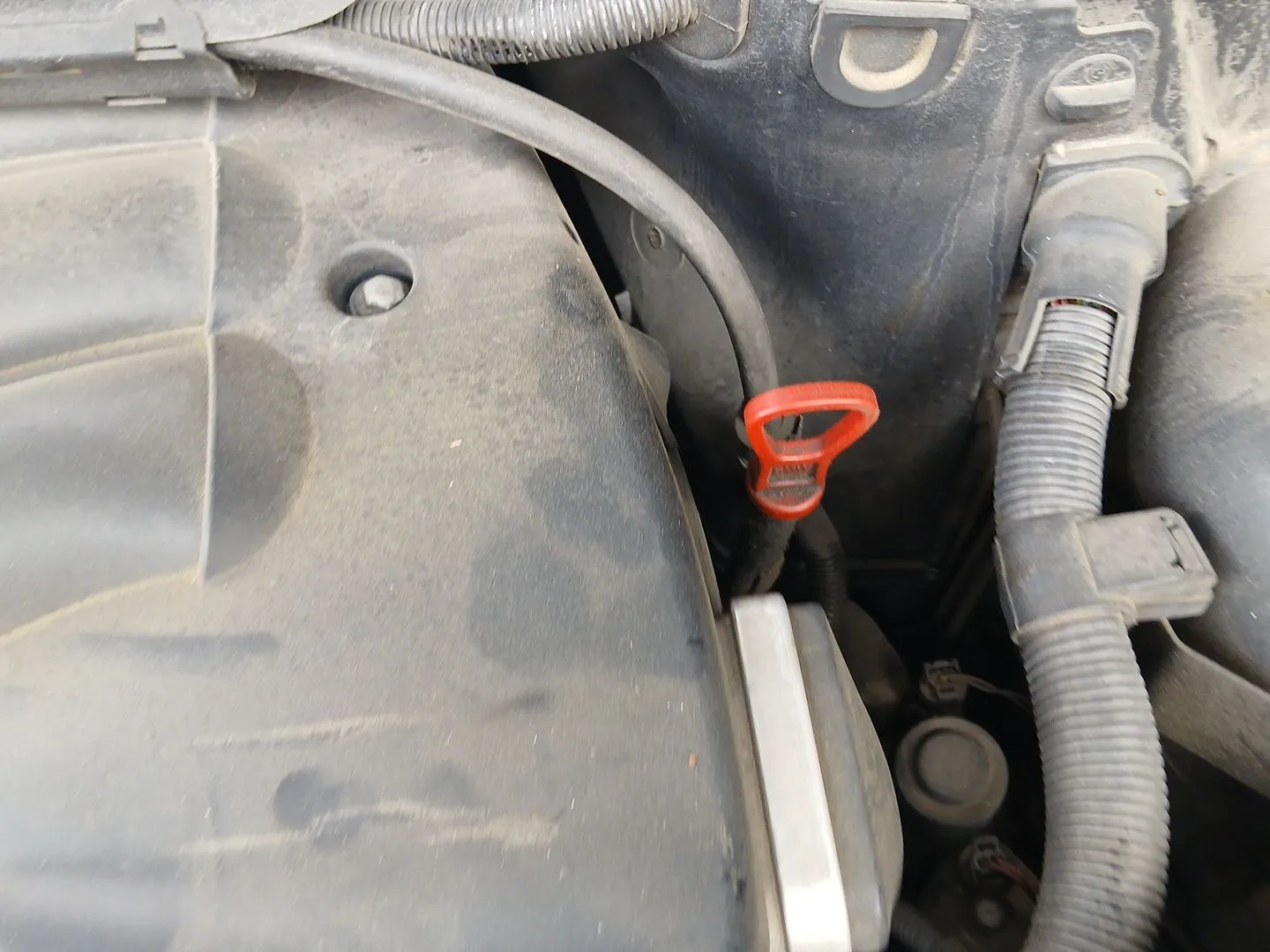 Despiece Motor para Bmw 3 Touring (E46)