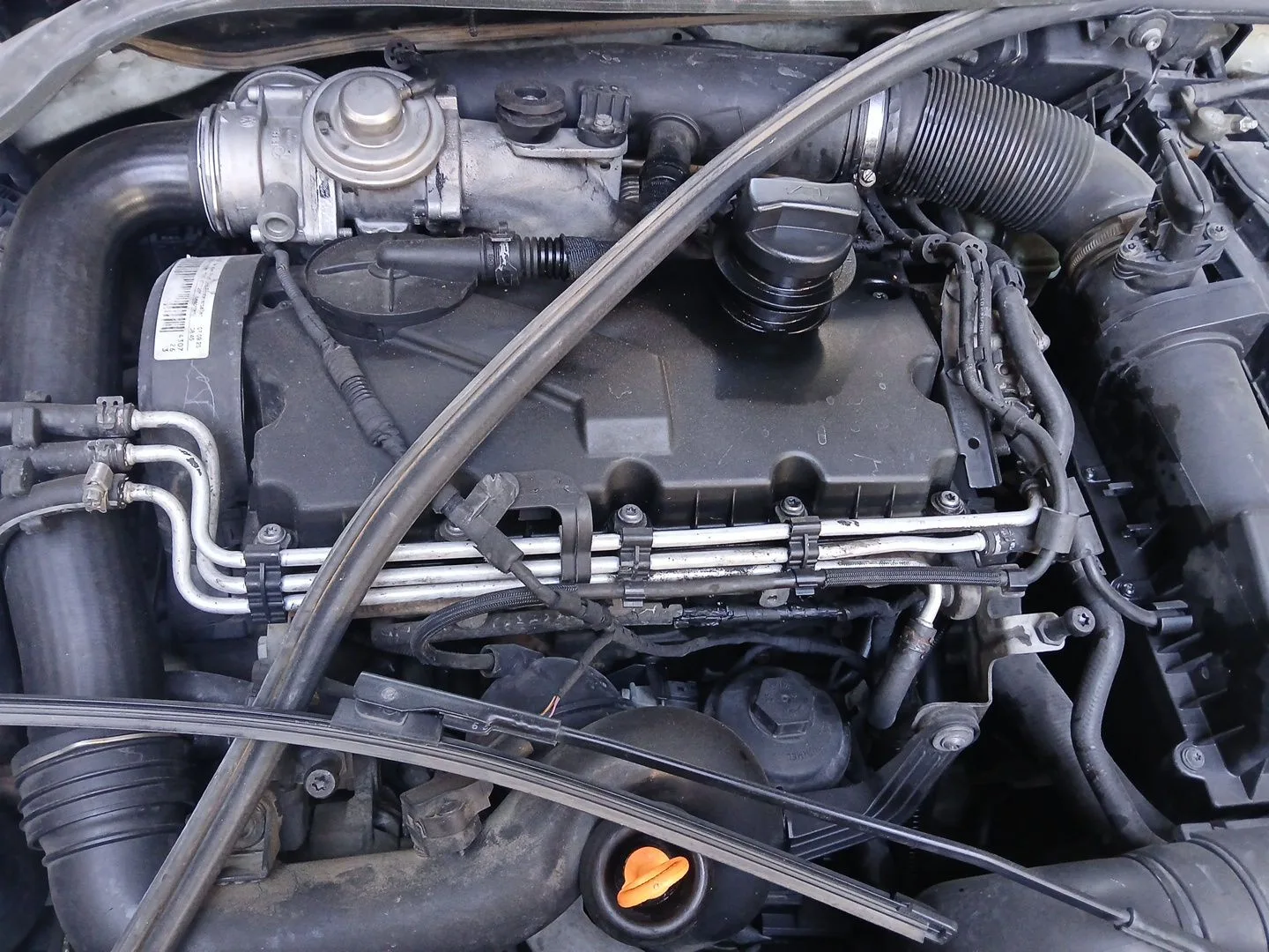 Despiece Motor para Skoda Octavia Ii (1Z3)