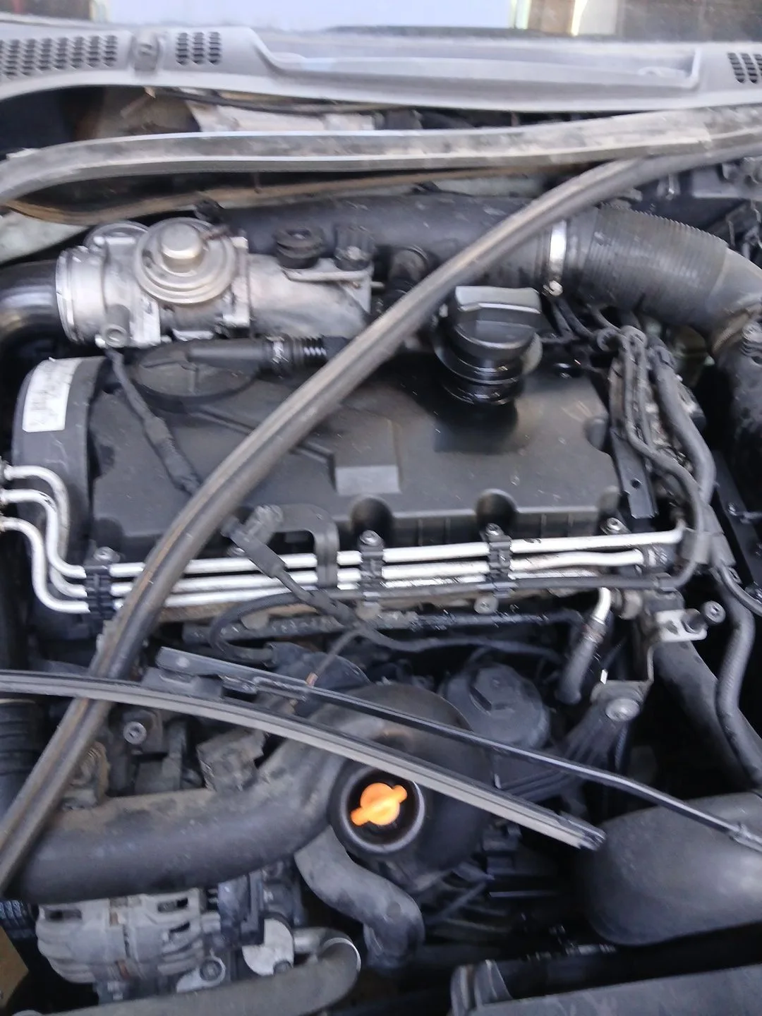 Despiece Motor para Skoda Octavia Ii (1Z3)