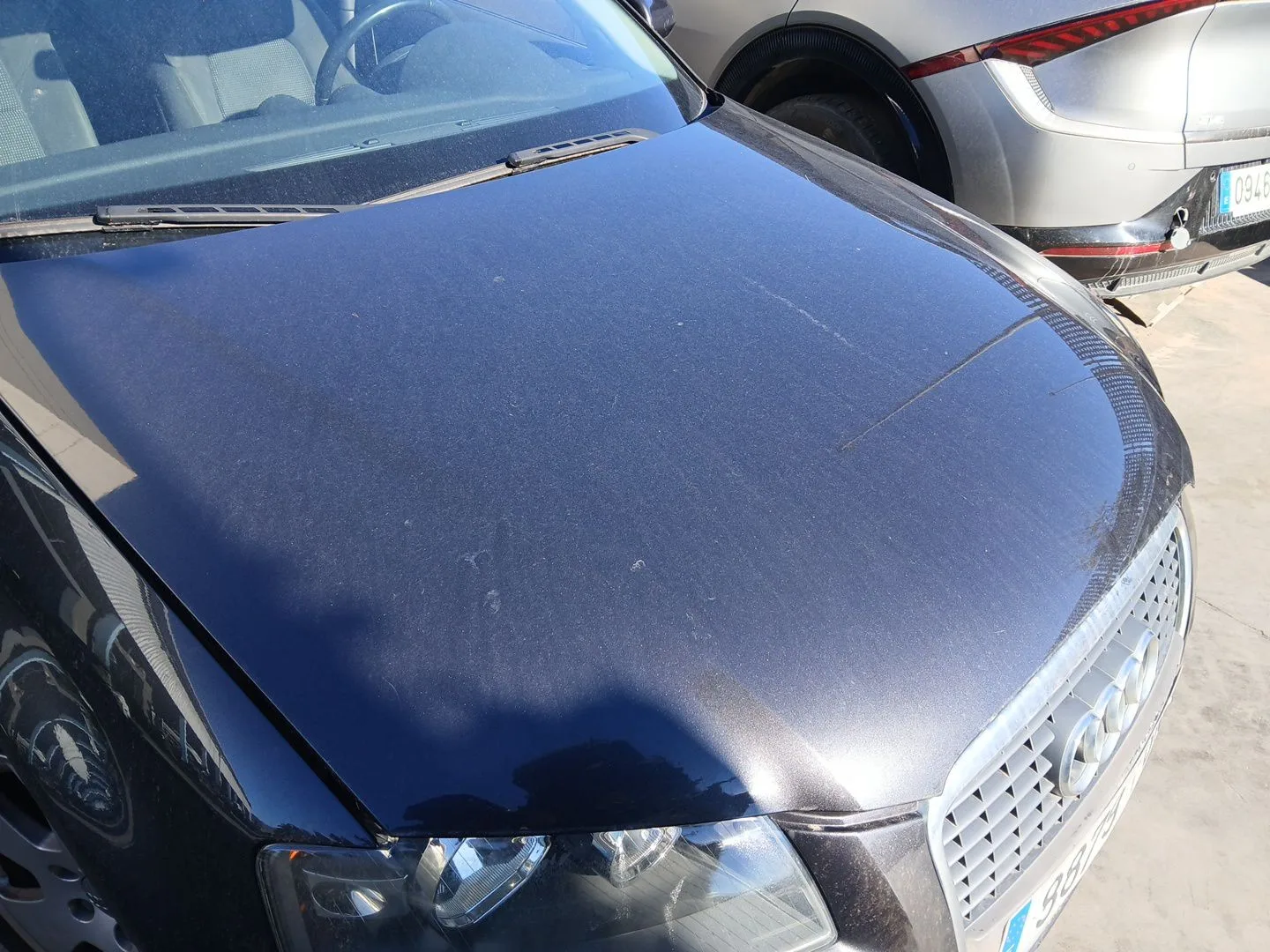 Capot para Audi A3 (8P1)