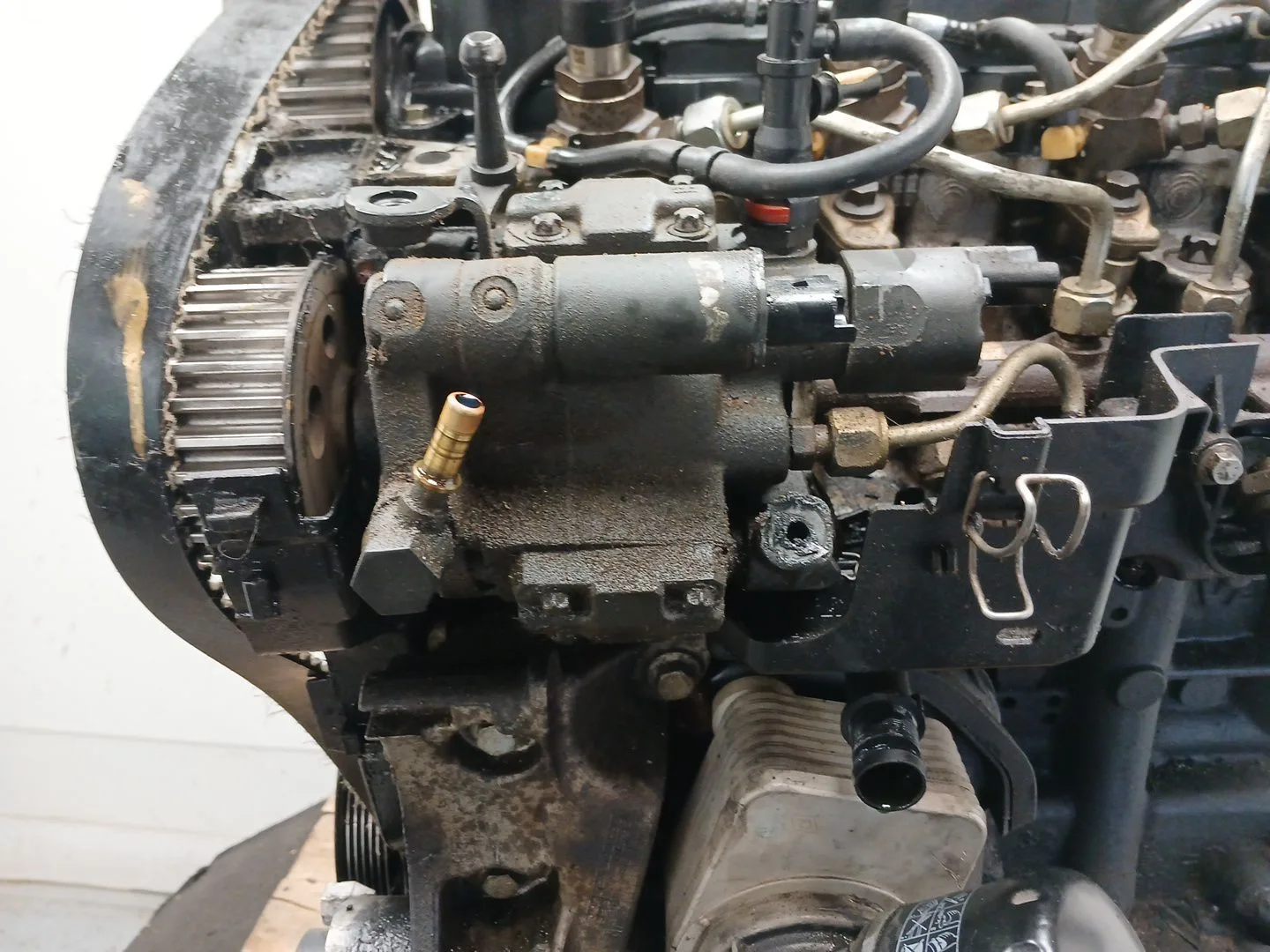 Despiece Motor para Nissan Qashqai I (J10, Nj10)