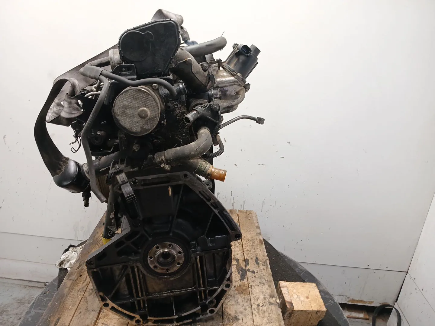 Despiece Motor para Nissan Qashqai I (J10, Nj10)