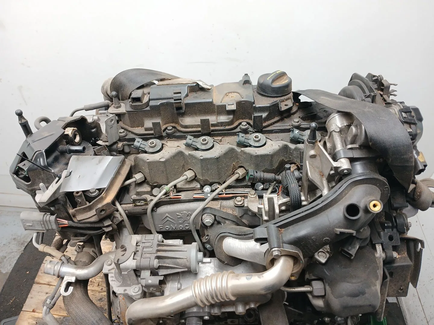 Despiece Motor para Ford Focus Lim.