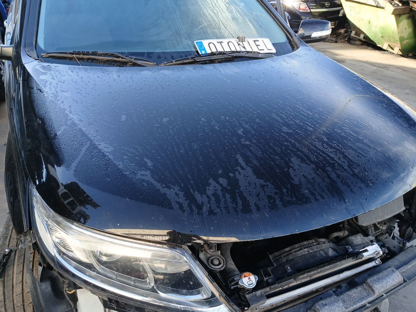 Capot para Kia Sorento Ii (Xm)