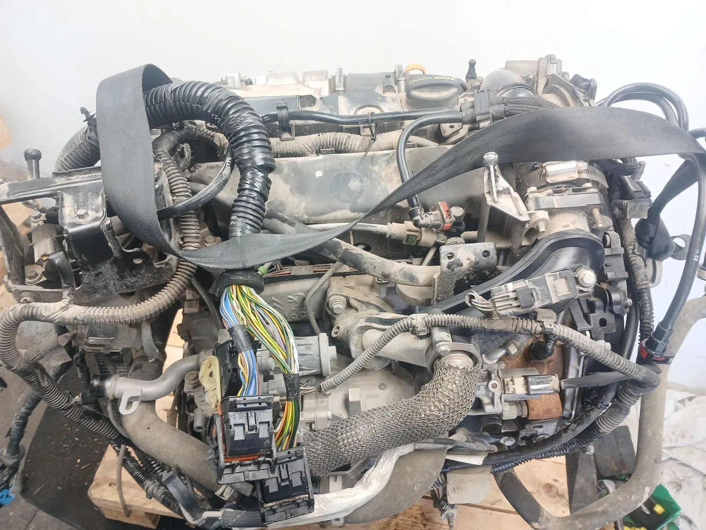 Despiece Motor para Ford C-Max Ii (Dxa/Cb7, Dxa/Ceu)