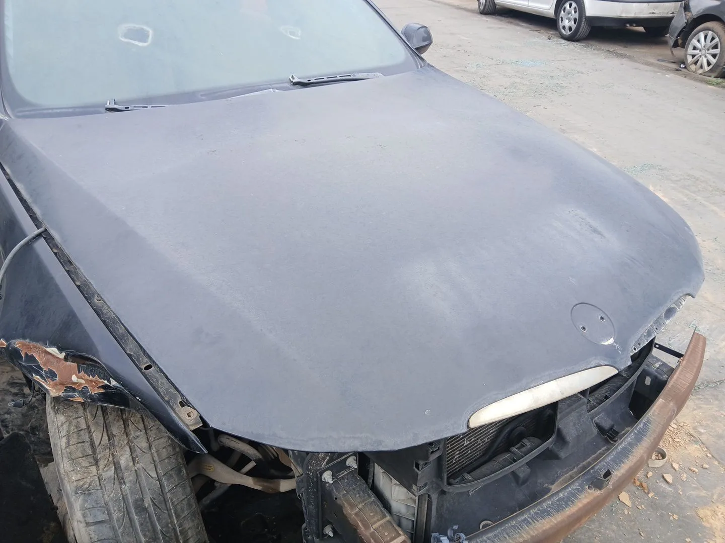 Capot para Bmw 3 (E90)