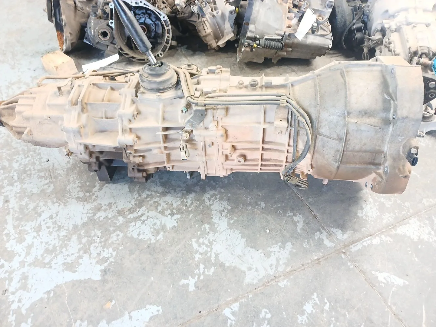 Caja Cambios para Nissan Pathfinder Iii (R51)