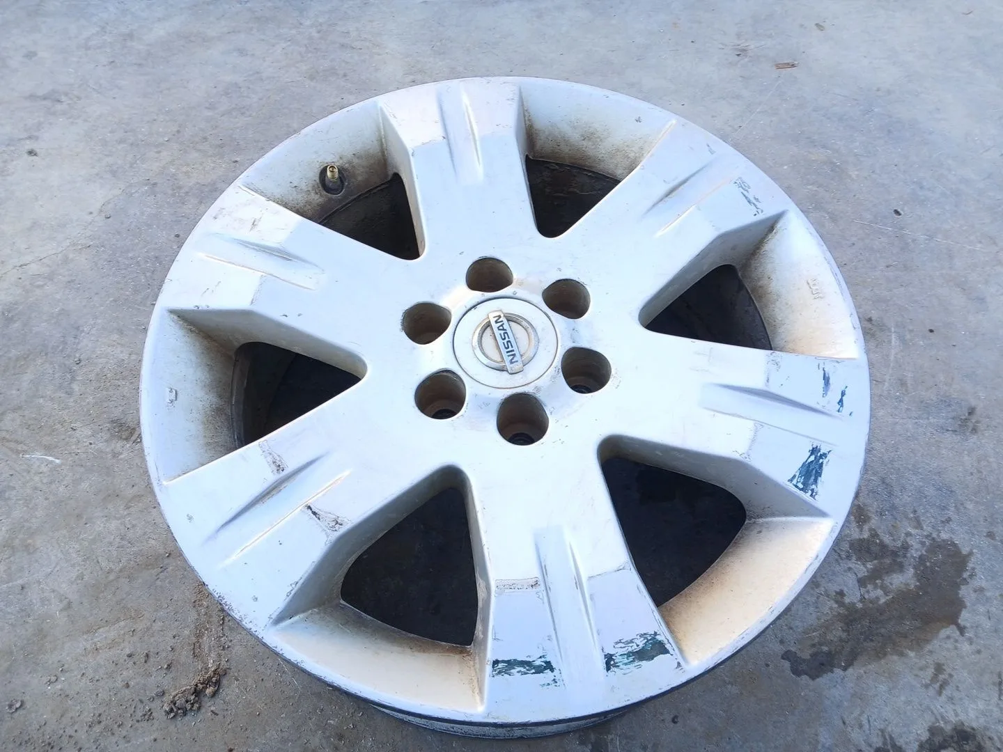 Llanta Delantera Izquierda para Nissan Pathfinder Iii (R51)