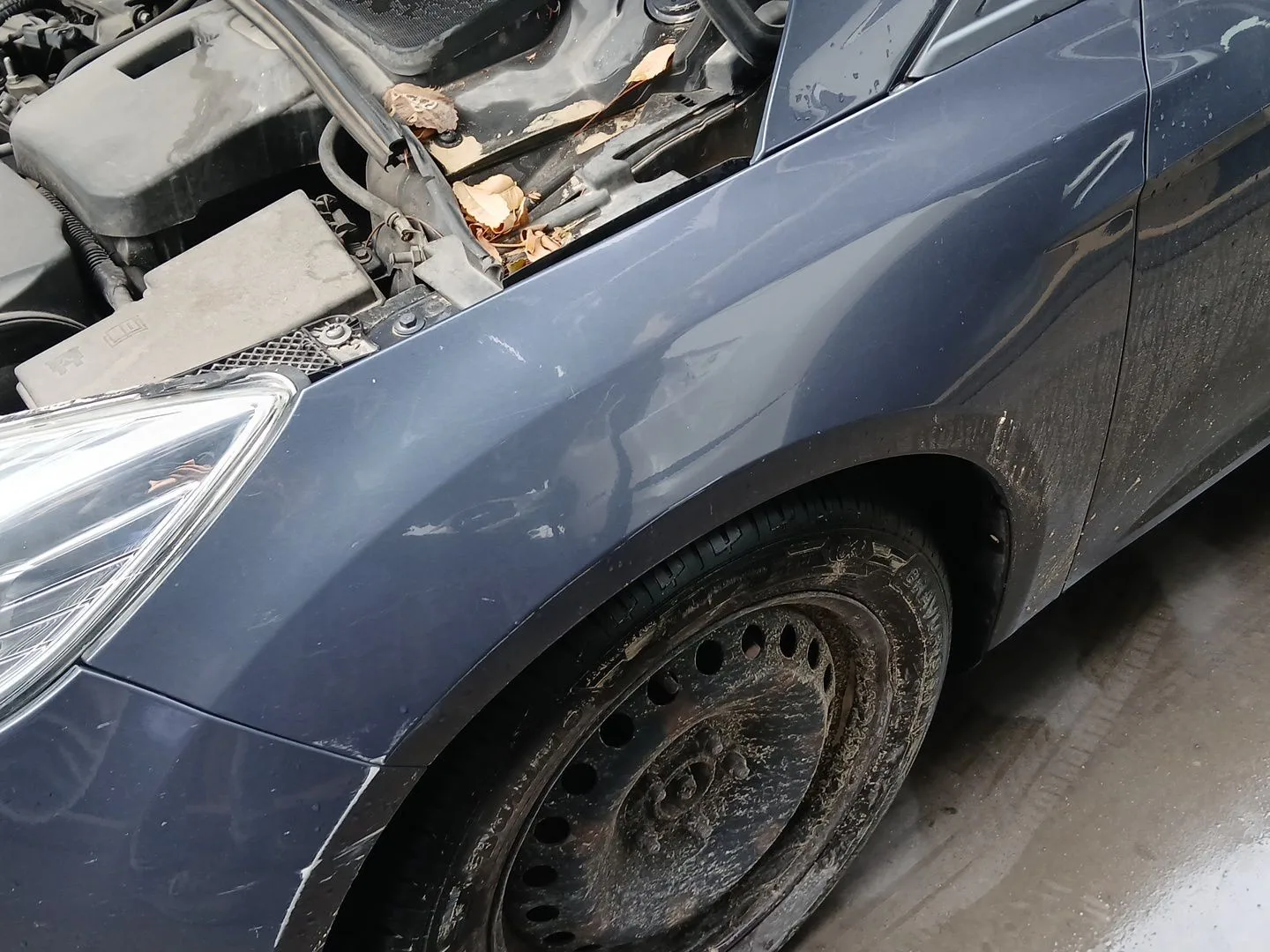 Aleta Delantera Izquierda para Ford Focus Iii Turnier