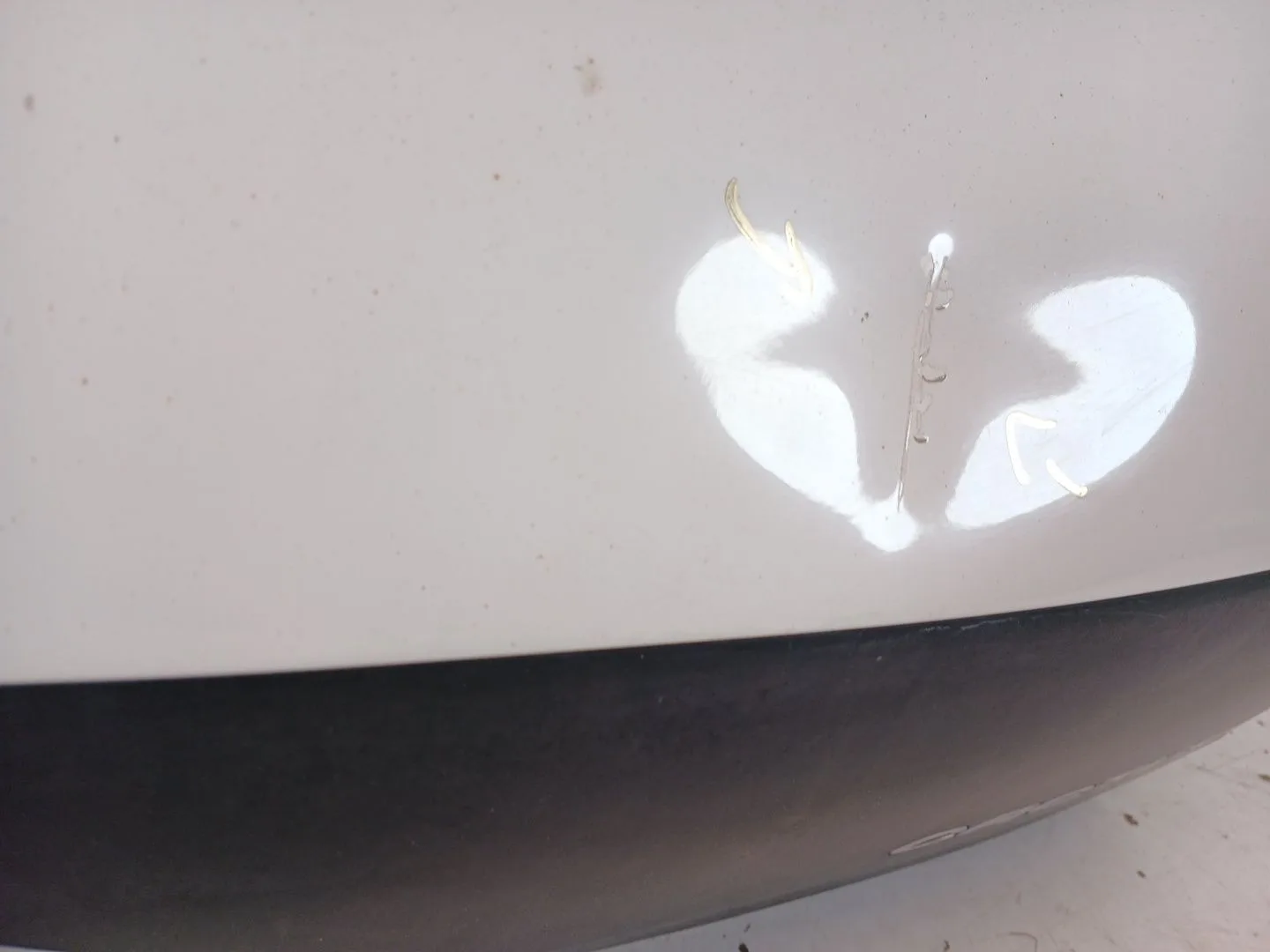 Porton Trasero para Citroën C4 Cactus