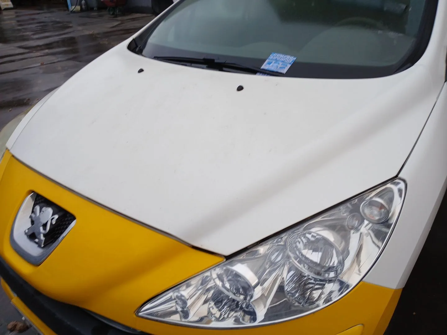 Capot para Peugeot 308 Sw I (4E_, 4H_)