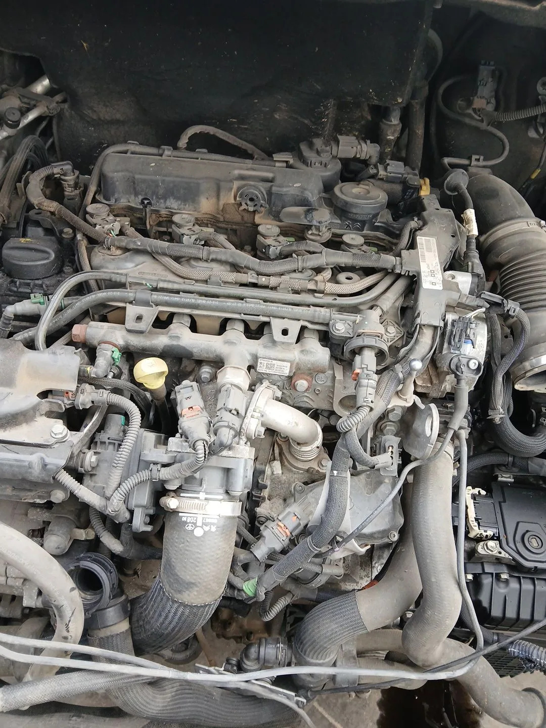 Motor Completo para Opel Vivaro C Furgoneta (K0)