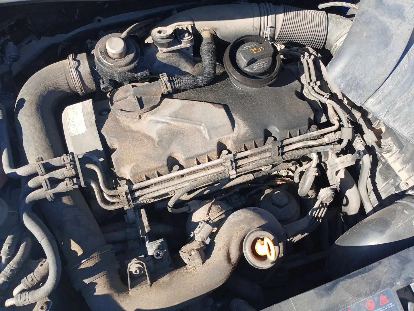 Motor Completo para Seat Toledo Iii (5P2)