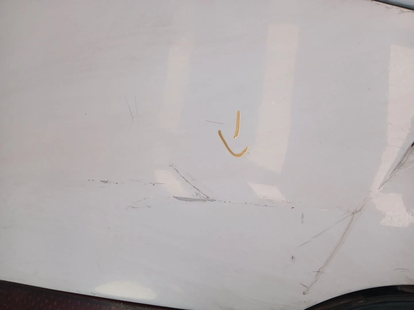 Paragolpes Trasero para Seat Toledo Iii (5P2)