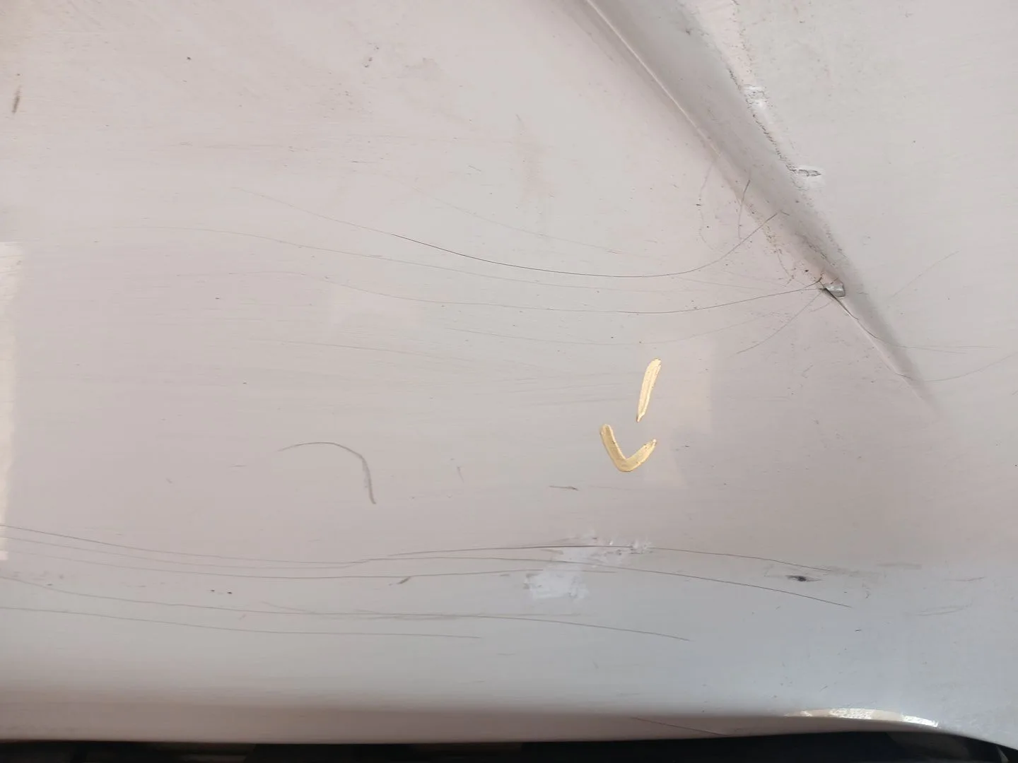 Paragolpes Trasero para Seat Toledo Iii (5P2)