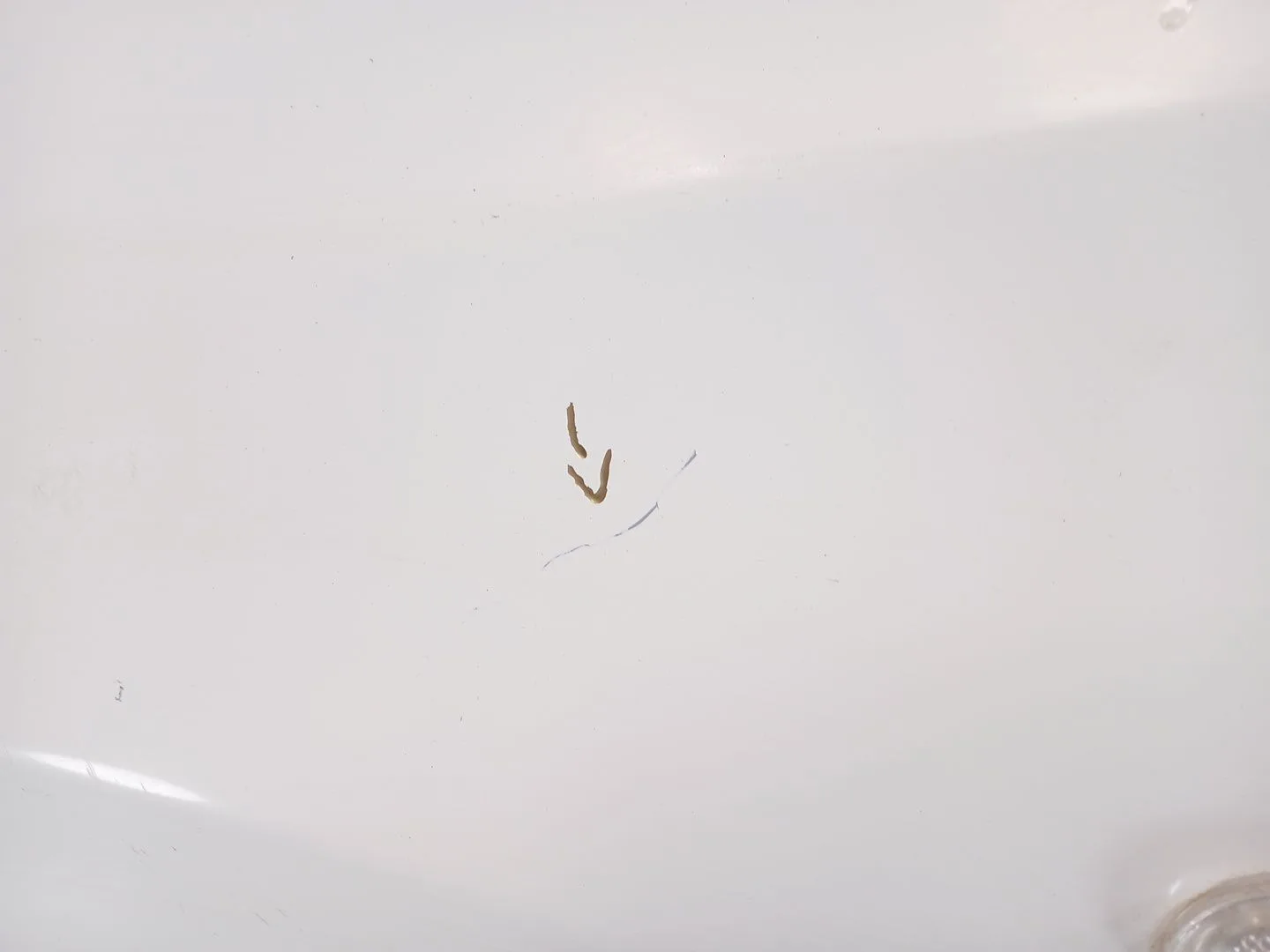 Aleta Delantera Izquierda para Nissan Qashqai I (J10, Nj10)