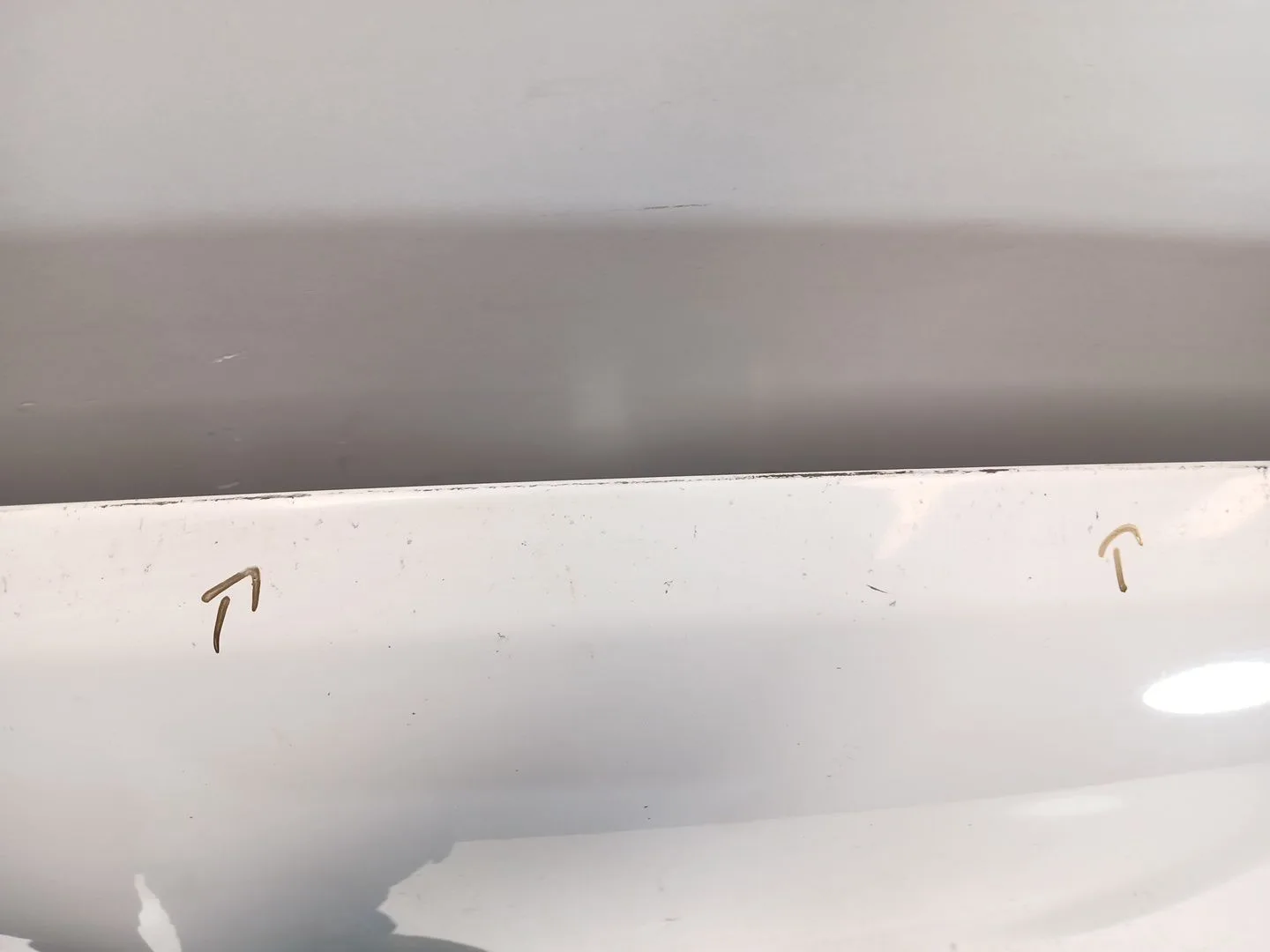 Capot para Nissan Qashqai I (J10, Nj10)