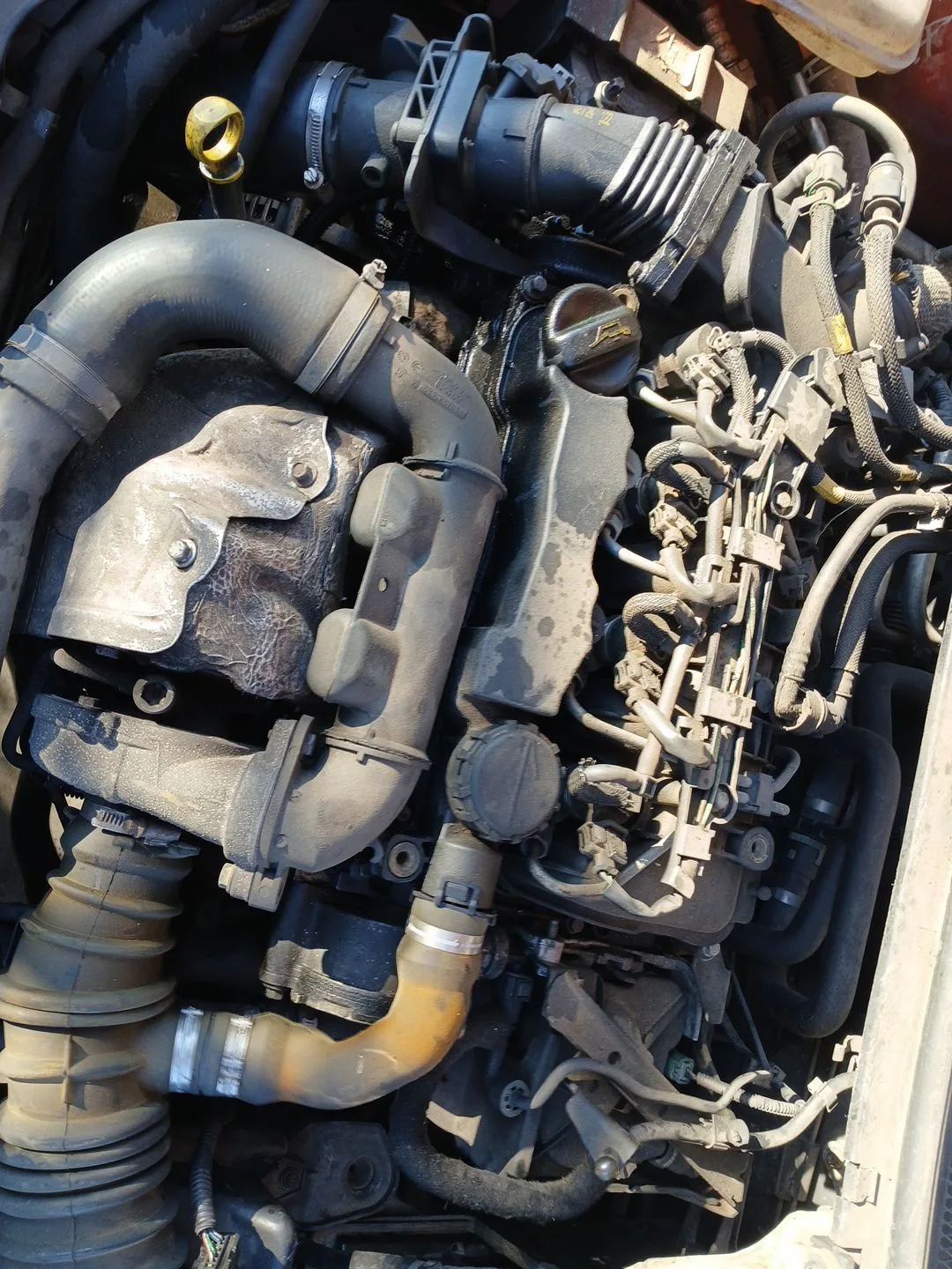Motor Completo para Ford Focus Ii (Da_, Hcp, Dp)