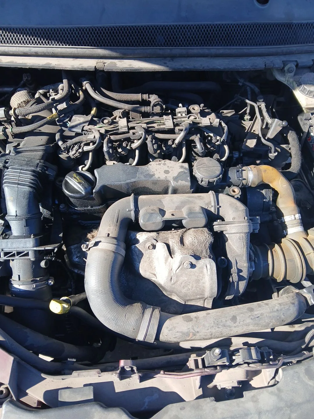 Motor Completo para Ford Focus Ii (Da_, Hcp, Dp)