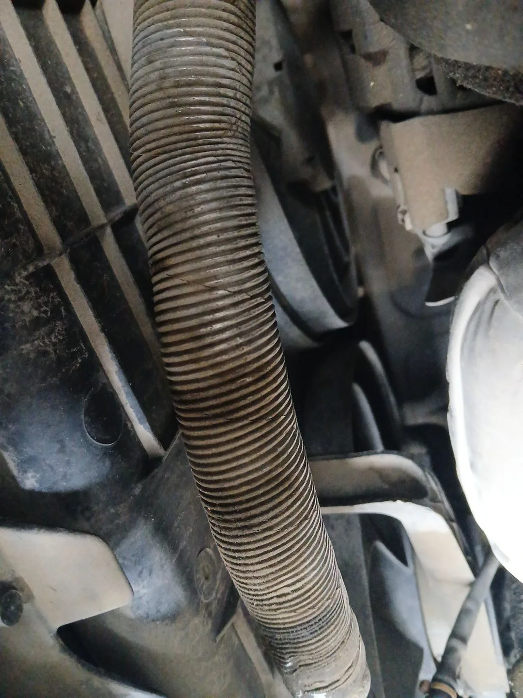 Electroventilador para Seat Ibiza Iii (6L1)