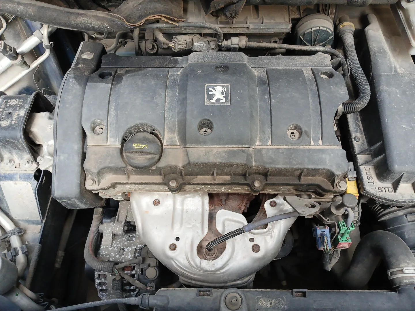 Motor Completo para Peugeot 307 (3A/C)