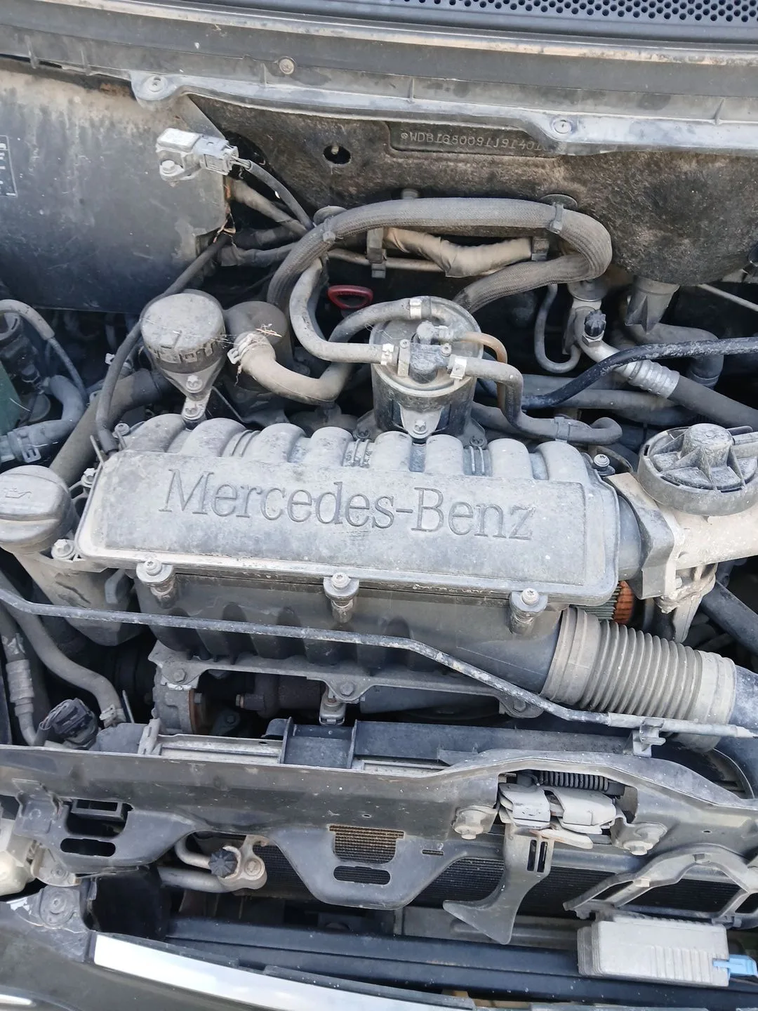 Despiece Motor para Mercedes-Benz Clase A (W168)
