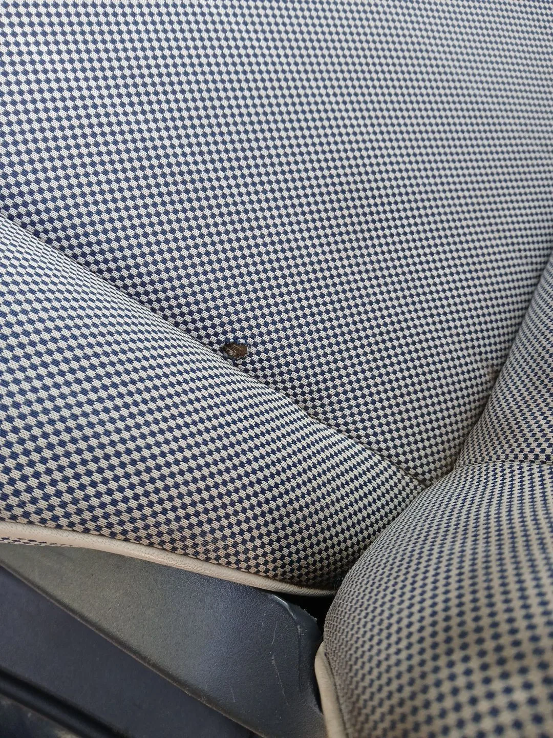Asiento Delantero Izquierdo para Fiat 500 (312_)