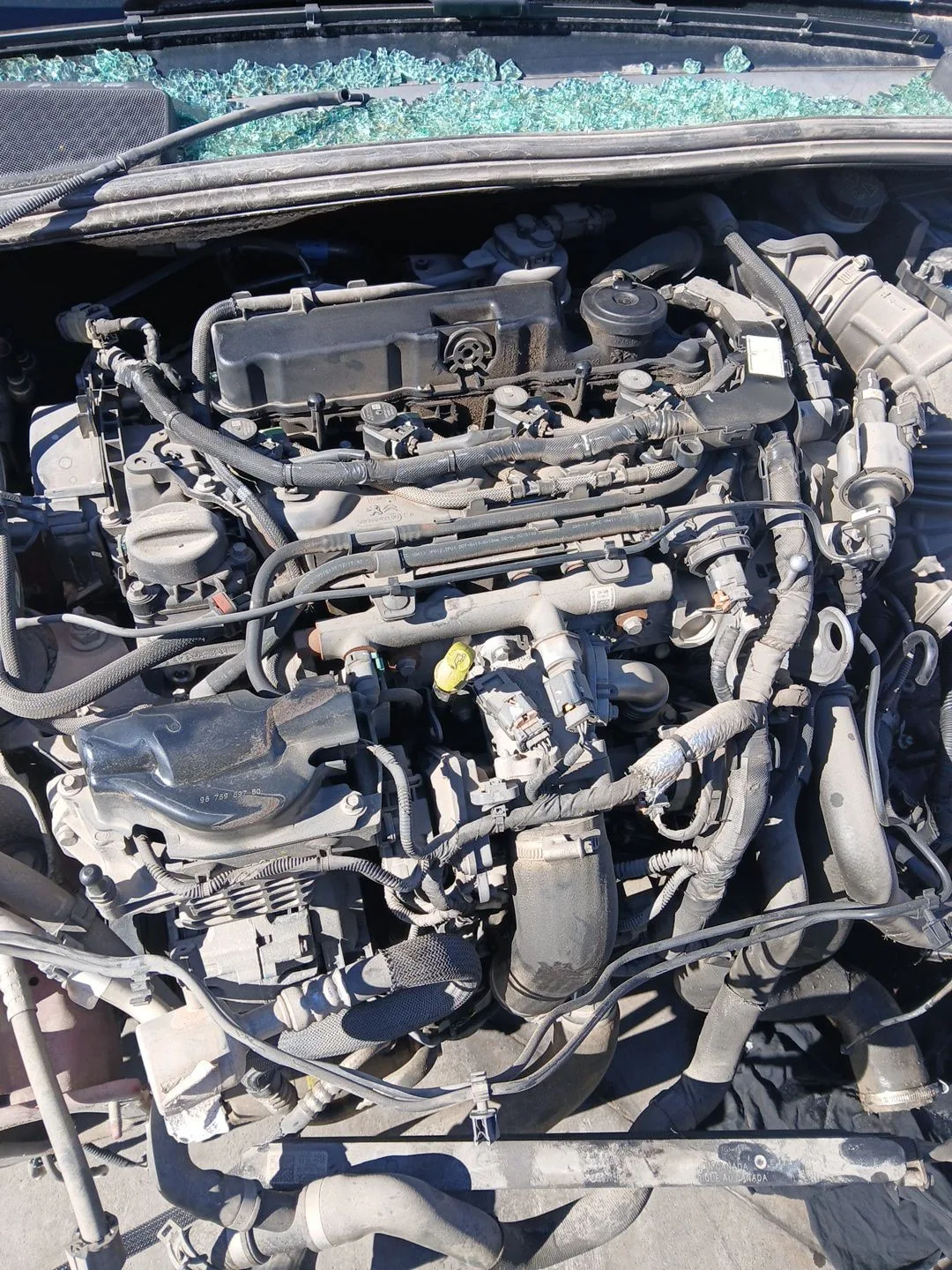 Motor Completo para Ford Focus Iii