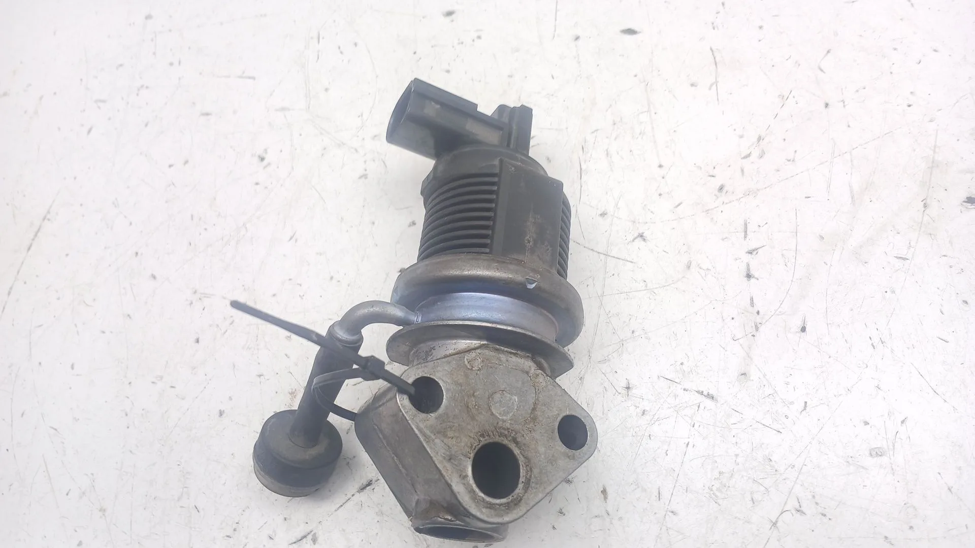 Valvula Egr para Seat Ibiza (6L1)