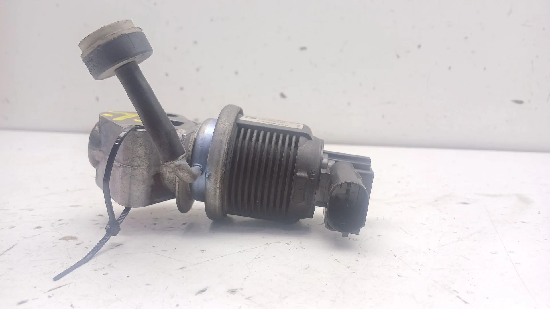 Valvula Egr para Seat Ibiza (6L1)