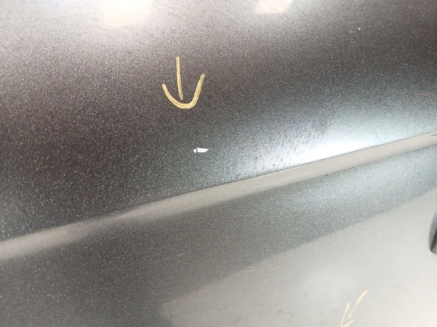 Puerta Trasera Izquierda para Audi A4 B8 Avant (8K5)