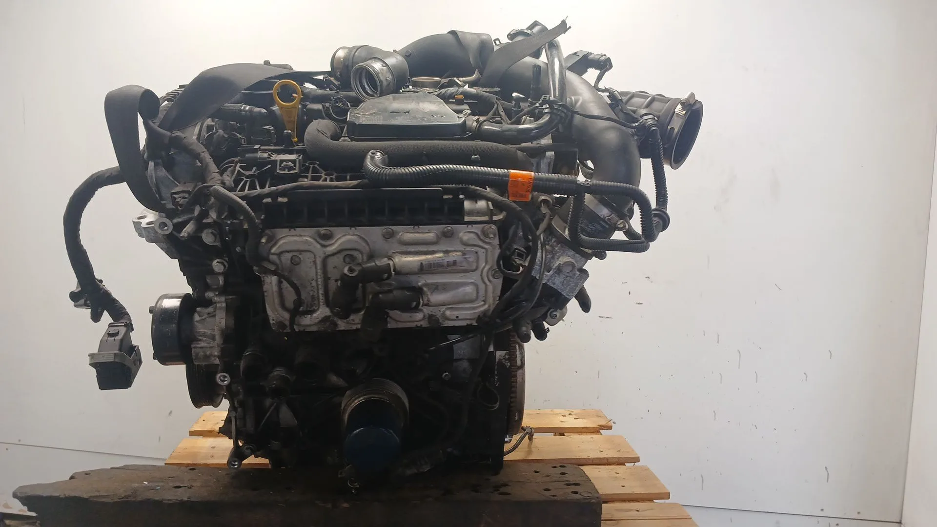 Motor Completo para Ford Mondeo V Hatchback (Ce)