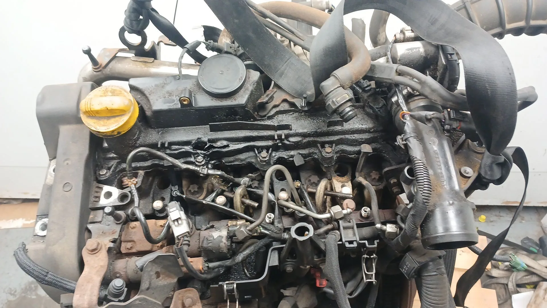 Despiece Motor para Nissan Qashqai I (J10, Nj10)